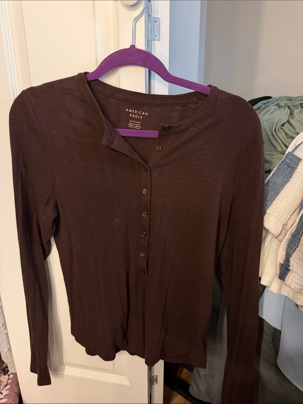 American Eagle Outfitters Long Sleeve Button-Up Top in Brown
